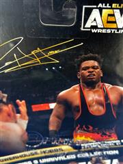 AEW POWERHOUSE HOBBS #78 SERIES 9 UNRIVALED COLLECTION
